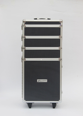 Große Kapazitäts-Aluminiuminstrument-Rechtssache 370 x 245 x 780mm mit Laufkatze