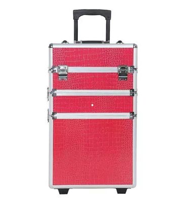 3 in 1 Pro Make-up Case