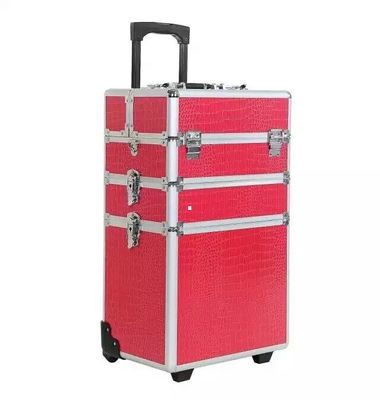 3 in 1 Pro Make-up Case
